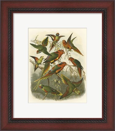 Framed Red Cassel Birds I Print