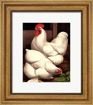 Framed Cassell&#39;s Roosters I Print