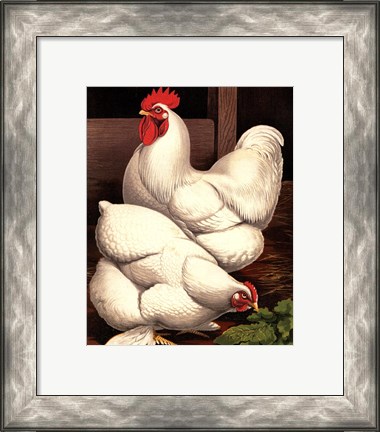 Framed Cassell&#39;s Roosters I Print