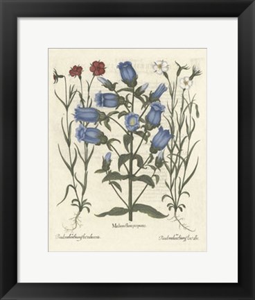 Framed Floral IV Print