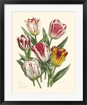 Framed Burst of Spring I Print