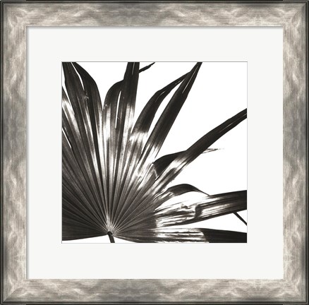 Framed Black and White Palm I Print