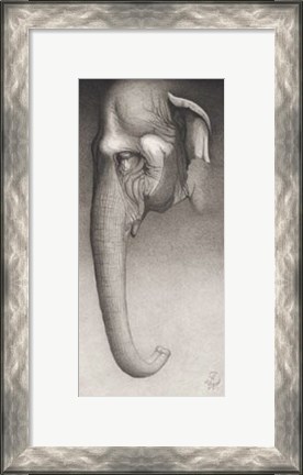 Framed Toni, The Elephant Print