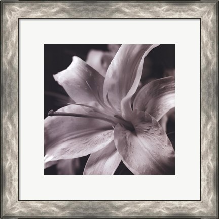 Framed Pure Lily Print