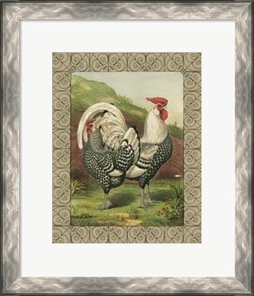 Framed Cassell&#39;s Roosters with Border III Print