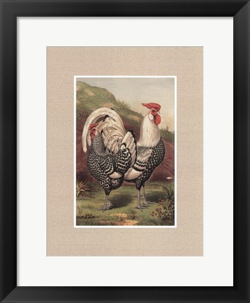 Framed Cassell&#39;s Roosters with Mat III Print