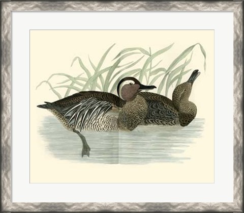 Framed Ducks II Print