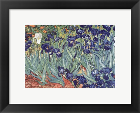 Framed Irises, Saint-Remy, c.1889 Print