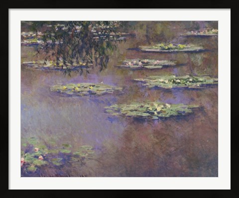 Framed Water Lilies, 1903 Print
