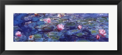 Framed Water Lilies (blue and purple) Print