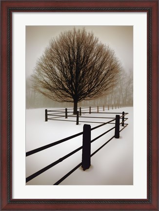 Framed Solitude Print