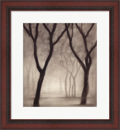 Framed Forest IV Print