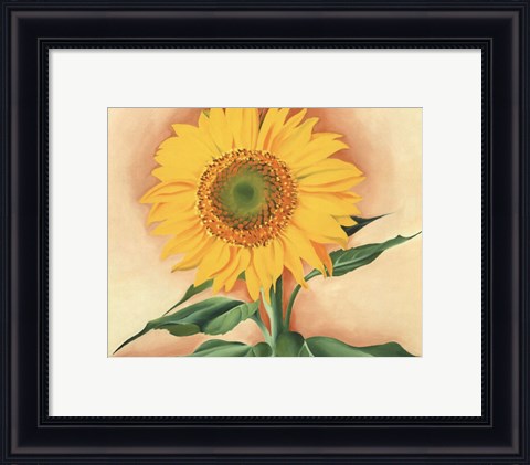 Framed Sunflower from Maggie, 1937 Print