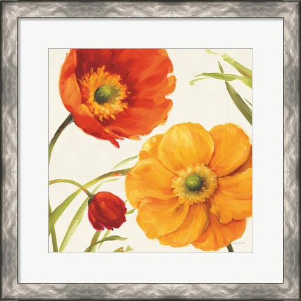 Framed Poppies Melody II Print