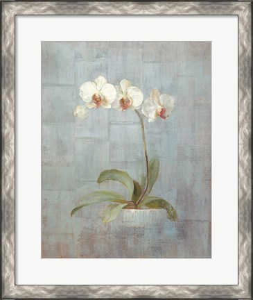 Framed Elegant Orchids II Print