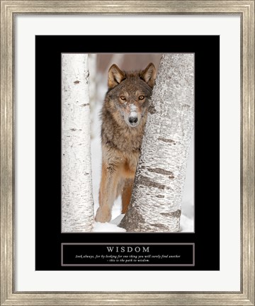 Framed Wisdom - Gray Wolf Print