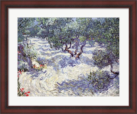Framed Olive Orchard Print