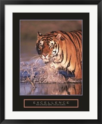 Framed Excellence - Bengal Tiger Print