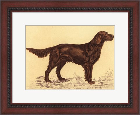 Framed Hunting Dogs-Setter Print
