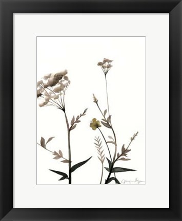 Framed Watermark Wildflowers I Print