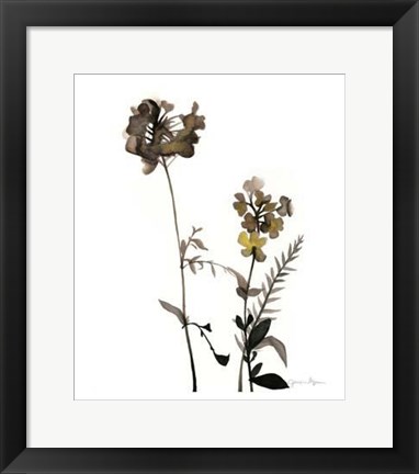 Framed Watermark Wildflowers V Print