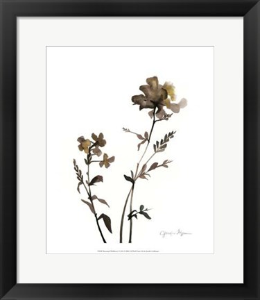 Framed Watermark Wildflowers VI Print