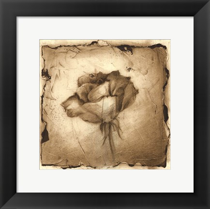 Framed Floral Impression VI Print