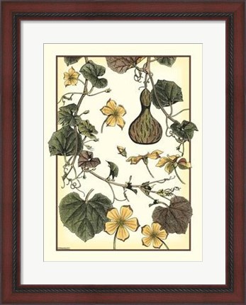 Framed Arts And Crafts Gourd Print