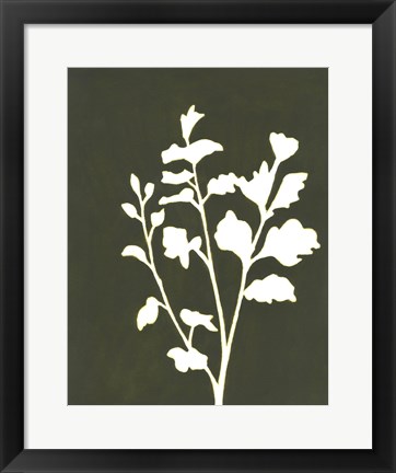 Framed Four Seasons Foliage II Print