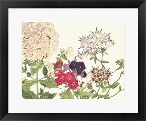 Framed Japanese Flower Garden II Print