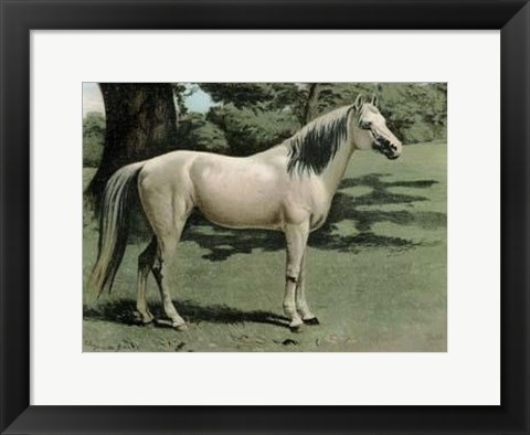 Framed Cassell&#39;s Horse I Print