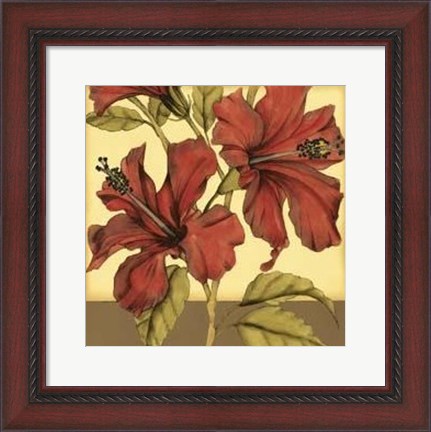 Framed Cropped Sophisticated Hibiscus II Print