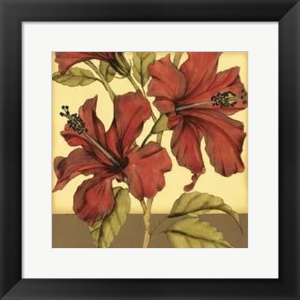 Framed Cropped Sophisticated Hibiscus II Print