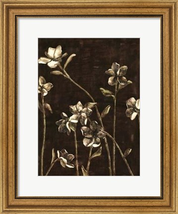 Framed Medium Blossom Nocturne I Print