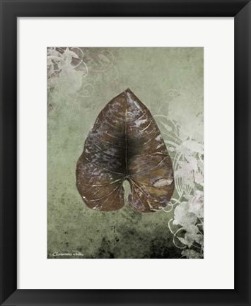 Framed Dry Leaf II Print