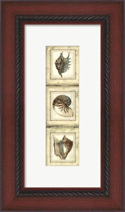 Framed Mini Rustic Shell Panel II Print
