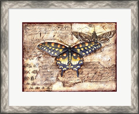 Framed Poetic Butterfly II Print