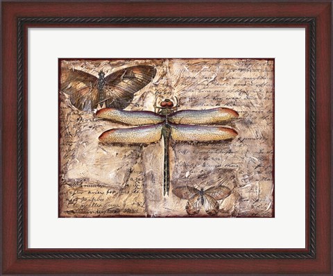 Framed Poetic Dragonfly II Print