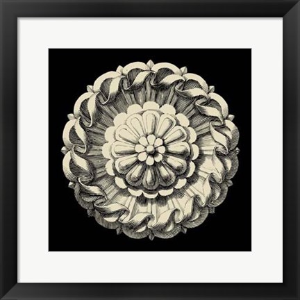 Framed Black and Tan Rosette IV Print