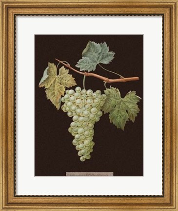 Framed White Grapes Print