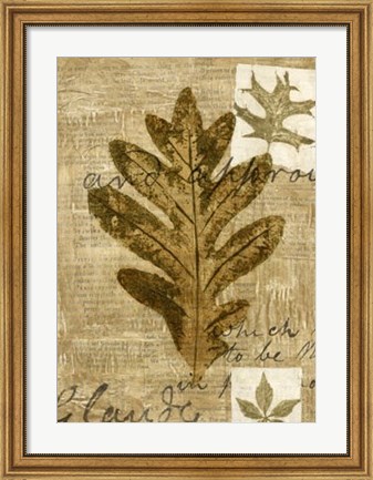 Framed Leaf Collage I Print