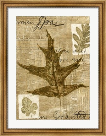 Framed Leaf Collage II Print