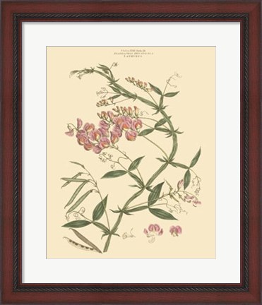Framed Blushing Pink Florals VI Print