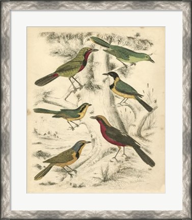 Framed Avian Habitat III Print