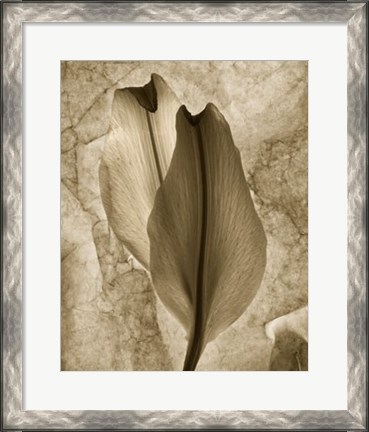 Framed Intentions Print