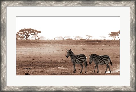 Framed Crossing The African Plains Print