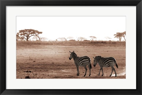 Framed Crossing The African Plains Print