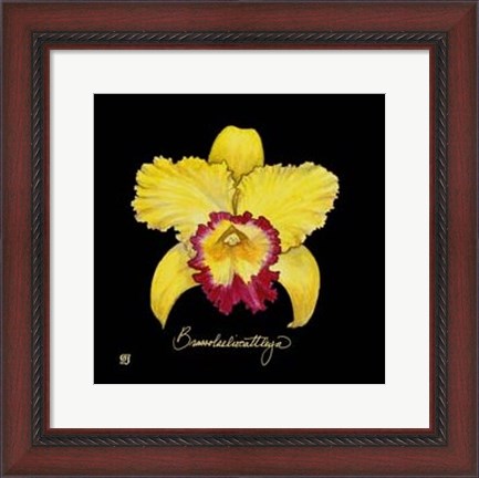 Framed Vivid Orchid VII Print