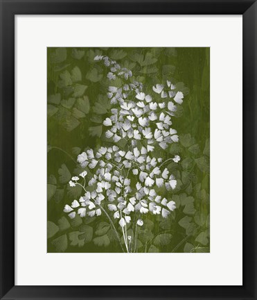Framed Jewel Ferns III Print