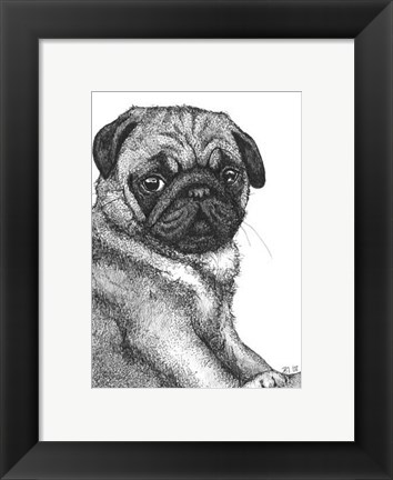 Framed Ralph the Pug Print